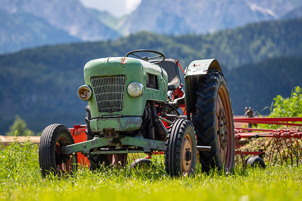 Große Auswahl an OLDTIMER Traktoren - Kaufen & Inserieren